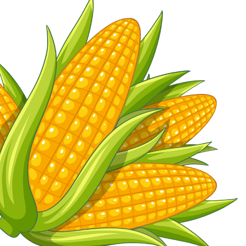 Jagung